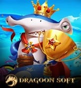 DRAGOON SOFT